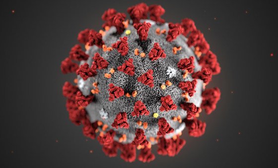 ویروس کرونا چیست؟