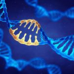 حقیقت های جالب در خصوص ژن درایو و ویرایش ژنتیکی