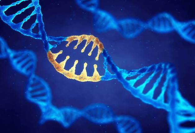 حقیقت های جالب در خصوص ژن درایو و ویرایش ژنتیکی