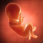 بررسی علل و علائم سقط جنین