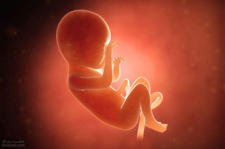 بررسی علل و علائم سقط جنین