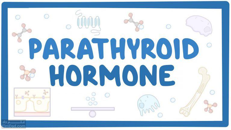 هورمون پاراتیروئید (Parathyroid hormone)