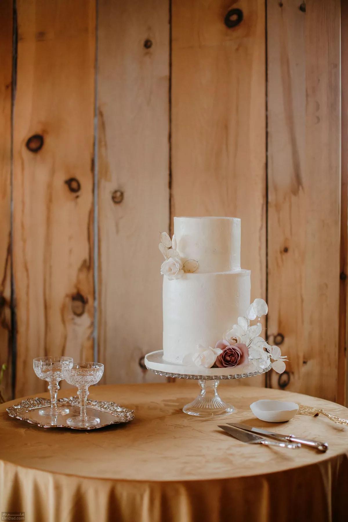 انواع طرح های جذاب برای کیک دو طبقه عروسی