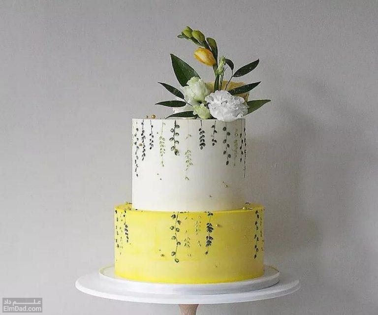 انواع طرح های جذاب برای کیک دو طبقه عروسی (۲)