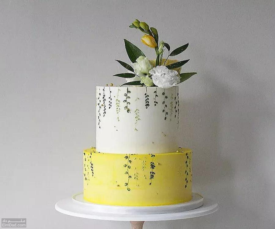 انواع طرح های جذاب برای کیک دو طبقه عروسی (2)